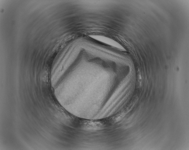 X0000087060379200705091206