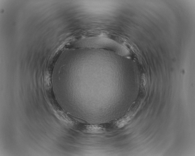 X0000087060380200705091206