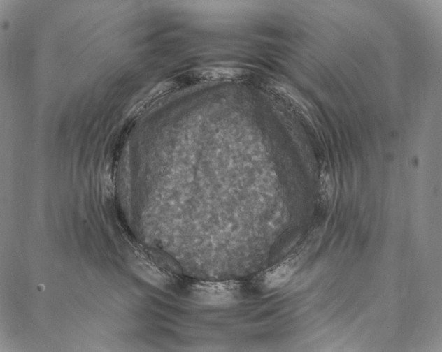 X0000087060381200705091206