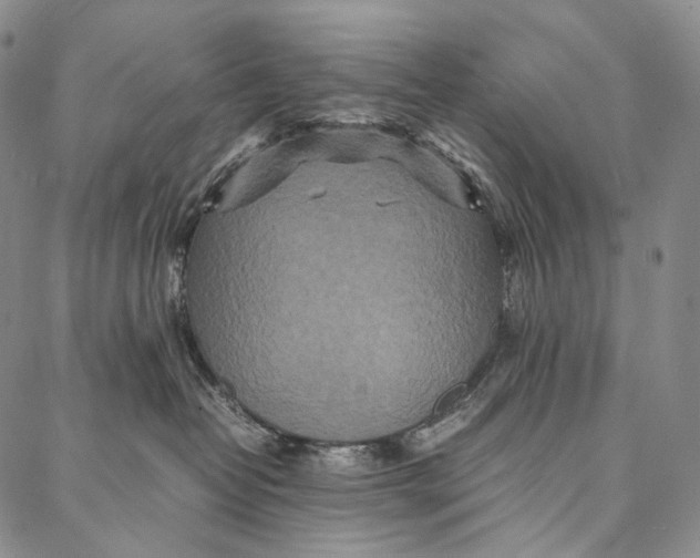 X0000087060382200705091207