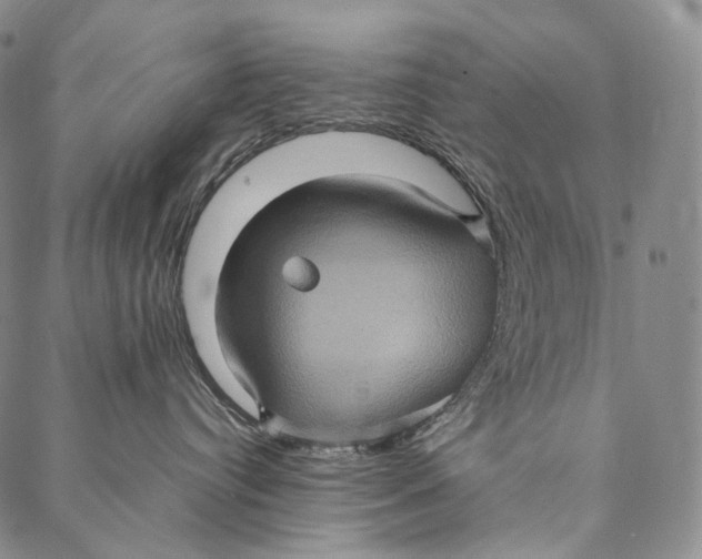 X0000087060384200705091207