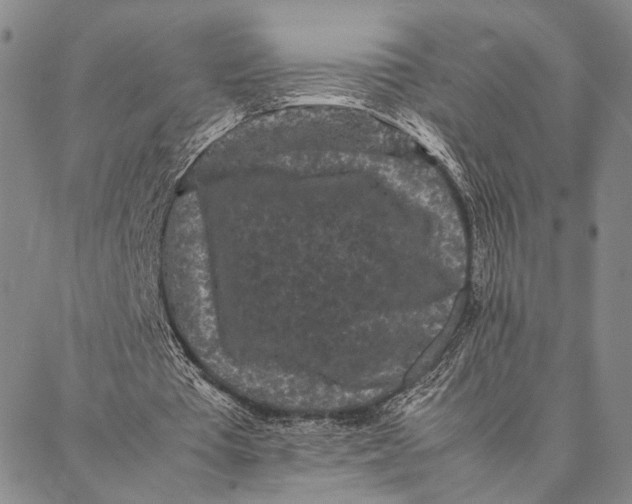 X0000087060385200705091206