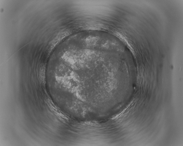 X0000087060386200705091206