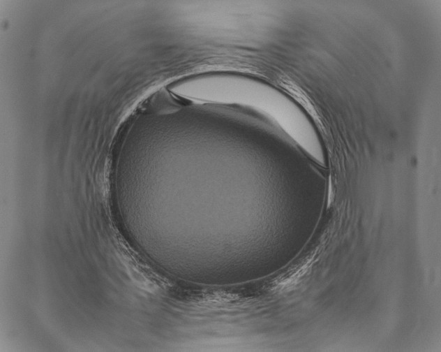 X0000087060387200705091206