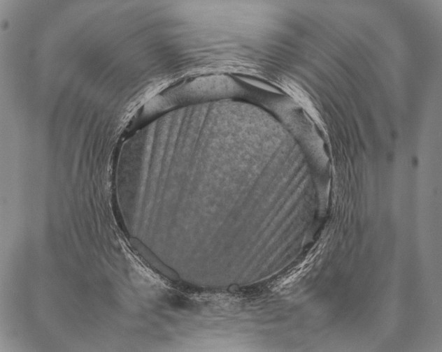 X0000087060389200705091206