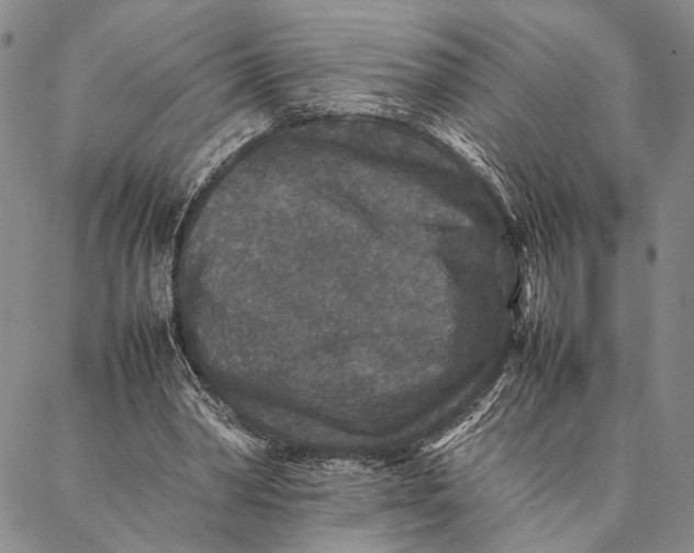 X0000087060390200705091206