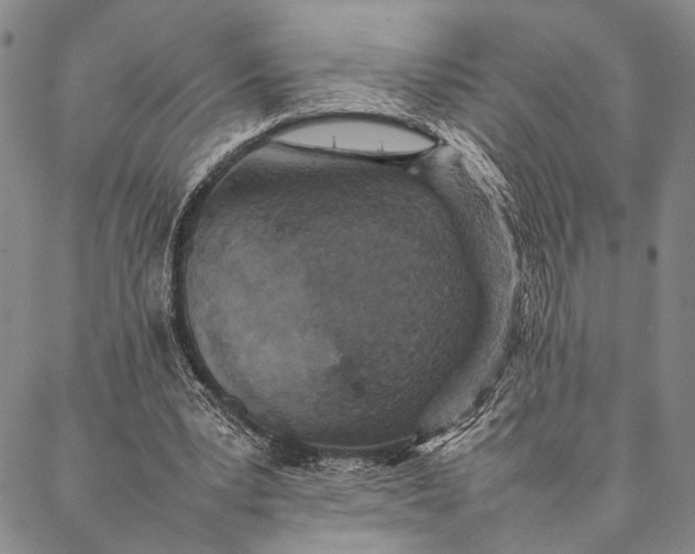 X0000087060391200705091206