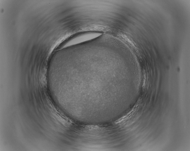 X0000087060392200705091206