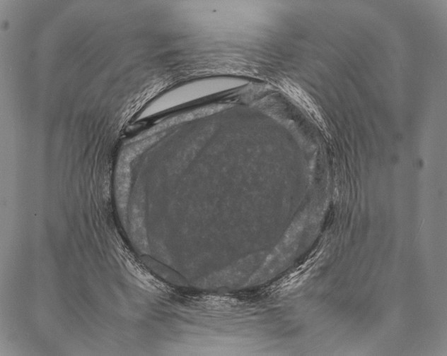 X0000087060393200705091206