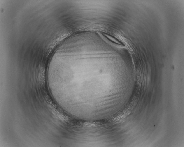 X0000087060394200705091206