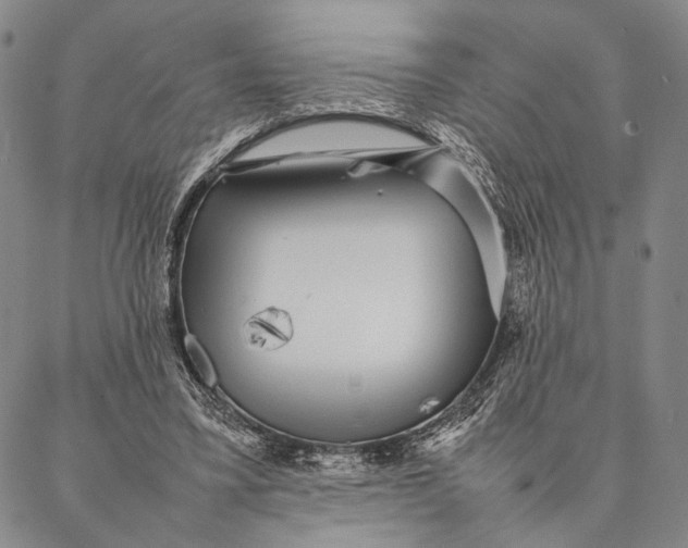 X0000087060395200705091206