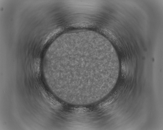 X0000087060396200705091206