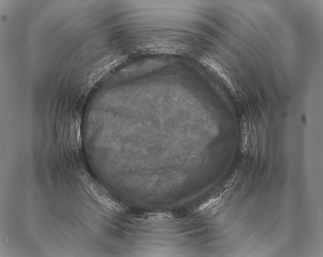 X0000087060398200705091206