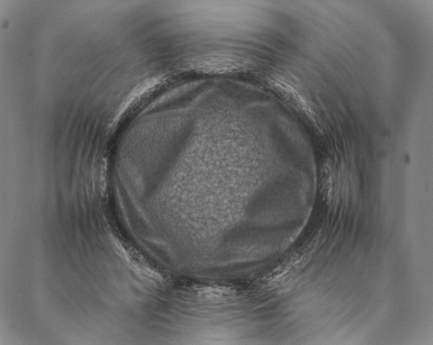 X0000087060400200705091206