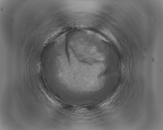 X0000087060401200705091205