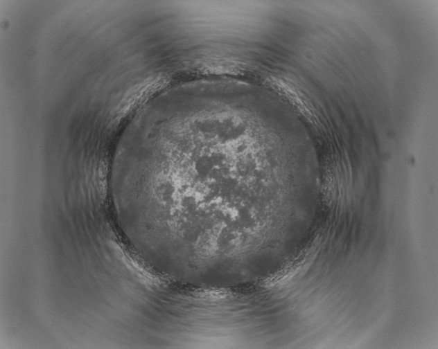 X0000087060402200705091205