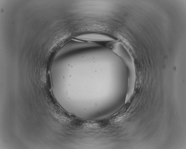 X0000087060403200705091205