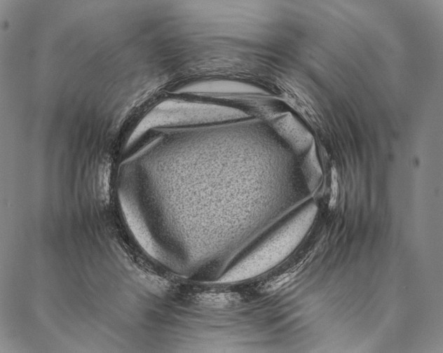 X0000087060404200705091205