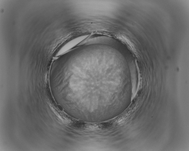 X0000087060405200705091205