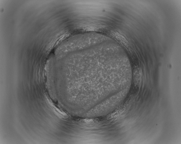 X0000087060406200705091205