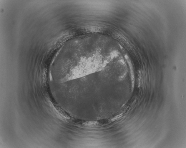 X0000087060410200705091205