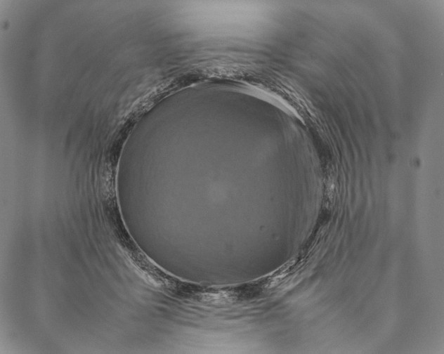 X0000087060411200705091205