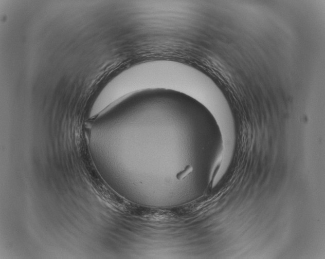 X0000087060412200705091205