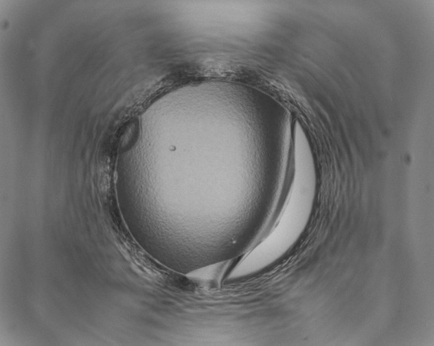 X0000087060413200705091205