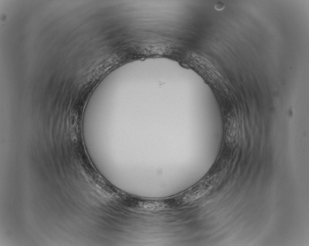 X0000087060414200705091205