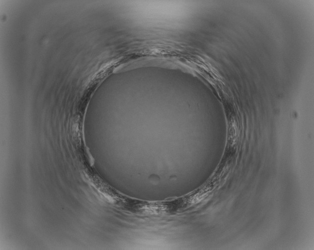 X0000087060415200705091205