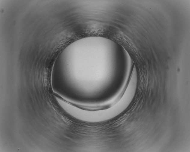 X0000087060416200705091205