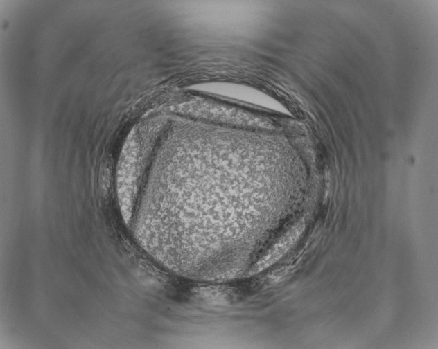 X0000087060417200705091205