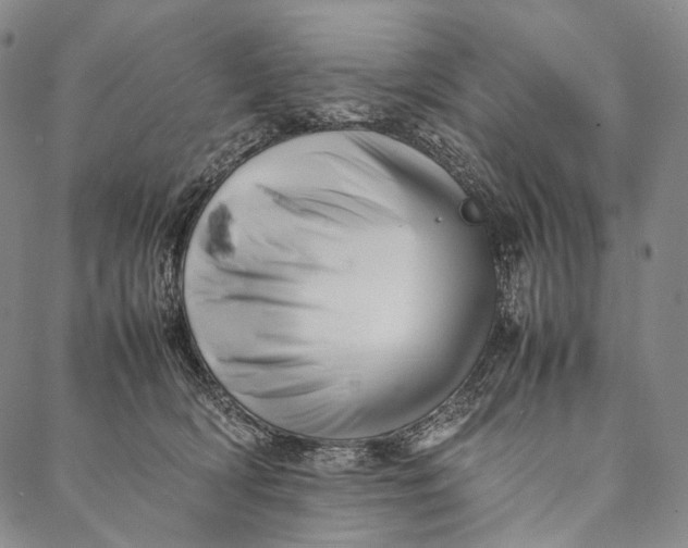 X0000087060418200705091205