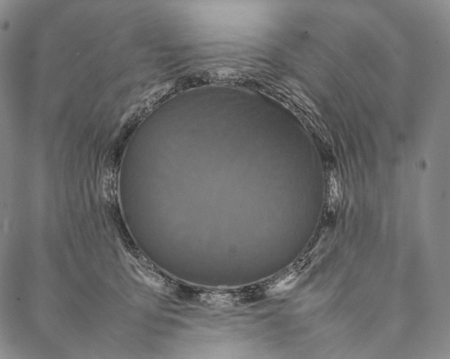 X0000087060419200705091205