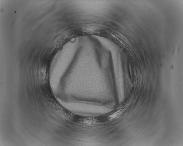 X0000087060420200705091205