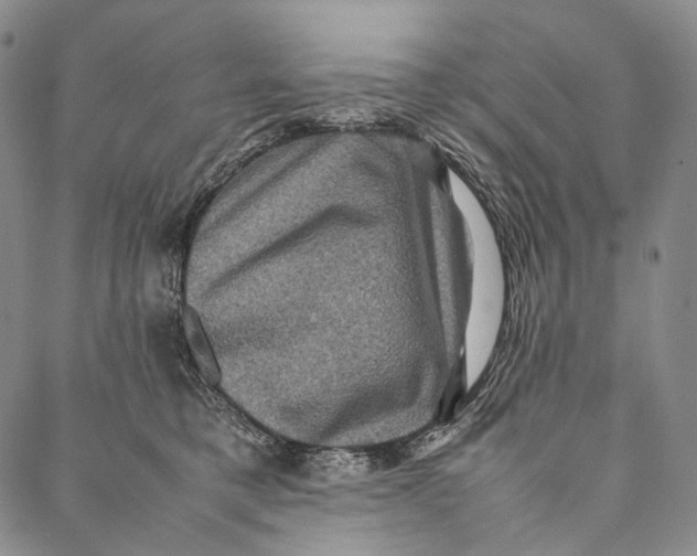 X0000087060421200705091205