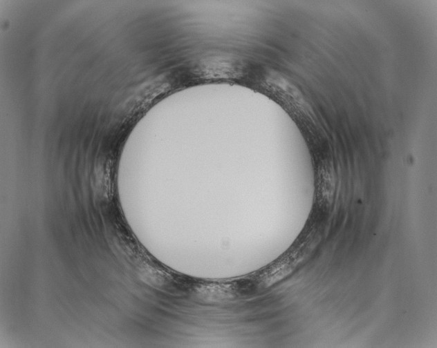 X0000087060422200705091205