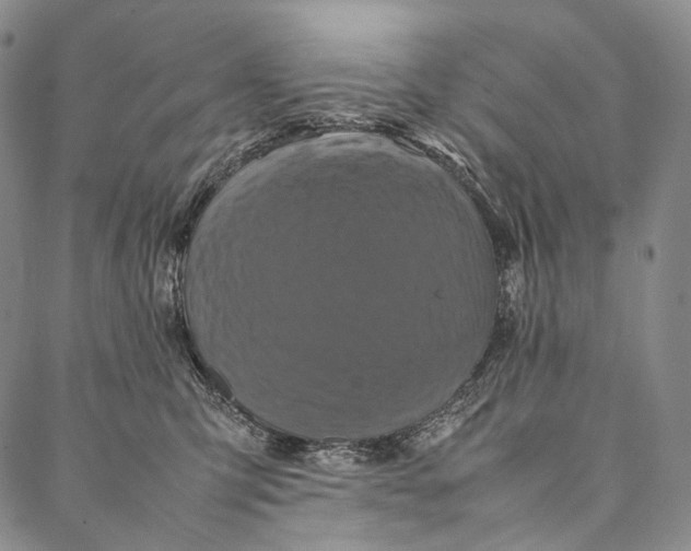 X0000087060423200705091205