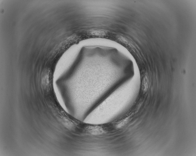 X0000087060424200705091205