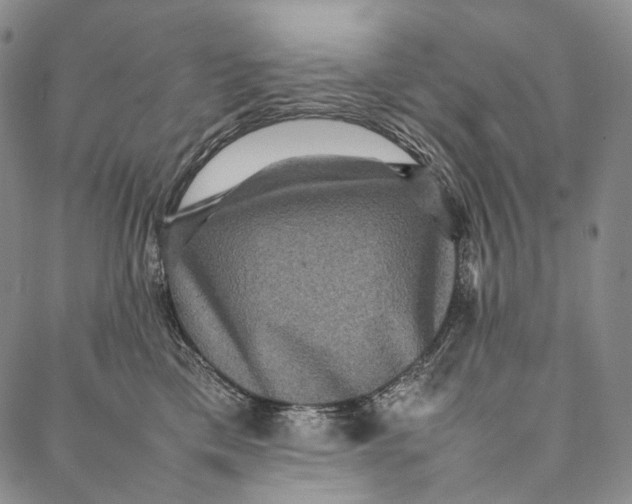 X0000087060425200705091205