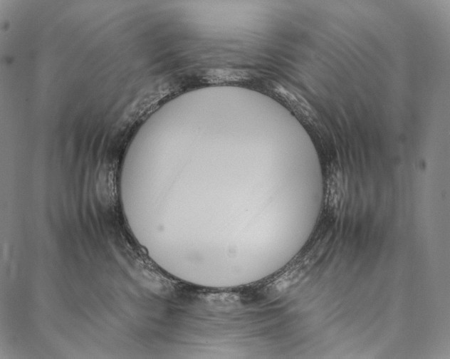 X0000087060426200705091205