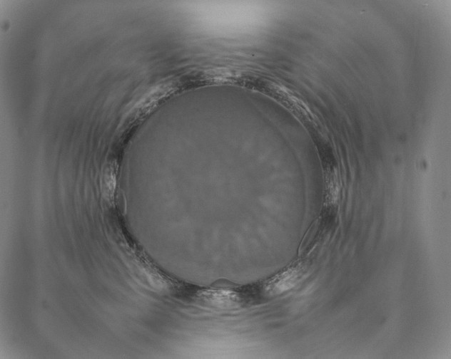 X0000087060427200705091205