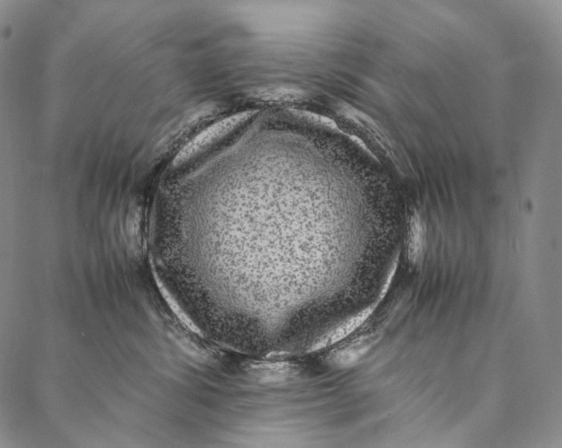 X0000087060428200705091205