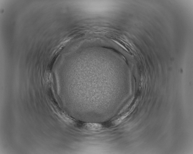 X0000087060429200705091205