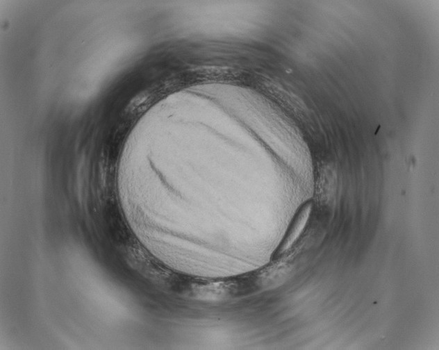 X0000087060430200705091205