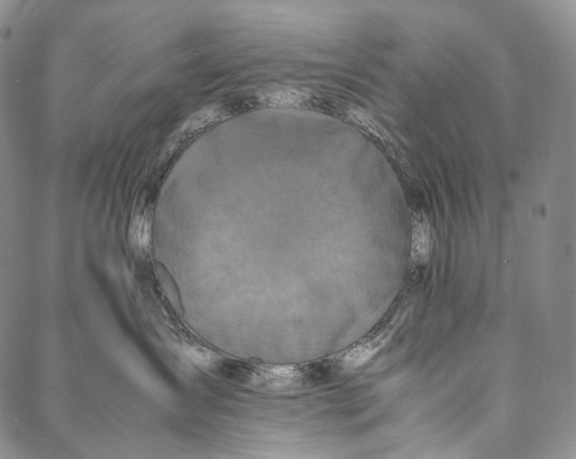 X0000087060431200705091205