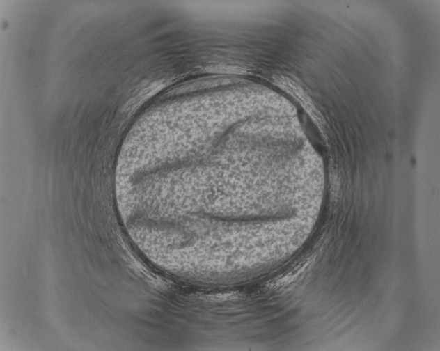 X0000087060433200705091204