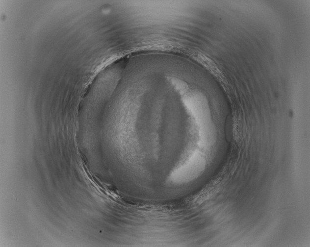 X0000087060434200705091204