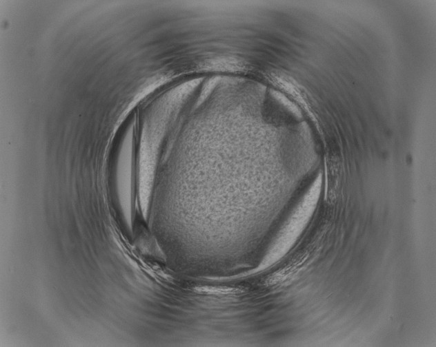 X0000087060435200705091204