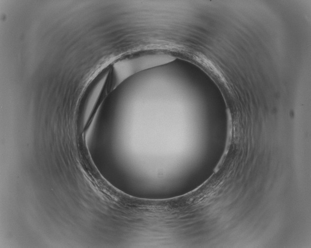 X0000087060436200705091204